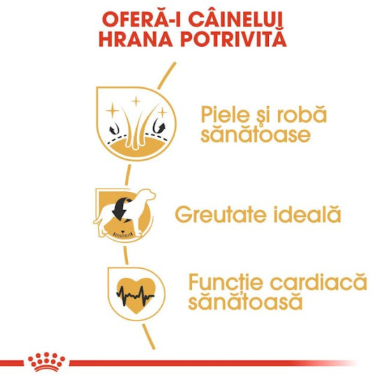 Royal Canin Cocker Adult – Hrană Uscată pentru Câini Adulți din Rasa Cocker Spaniel – 3 kg